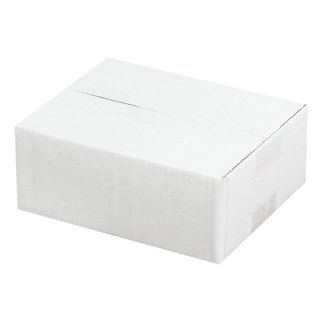 250x175x100 mm einwellige Kartons weiß
